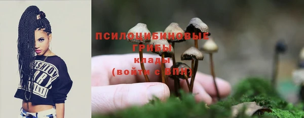 амф Богородск