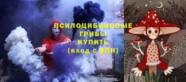трава Богородицк