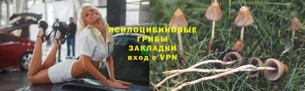 амф Богородск