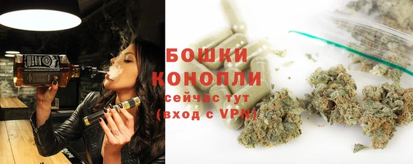 дурь Богданович
