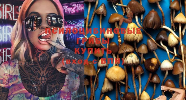 дурь Богданович