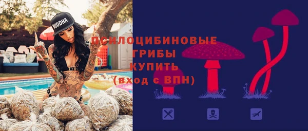 дурь Богданович